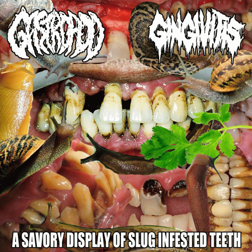 Gastropod : A Savory Display of Slug Infested Teeth